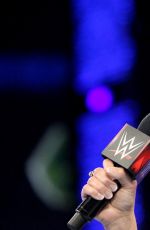 WWE - Raw Digitals 12/21/2015