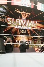 WWE - Raw Digitals 12/21/2015