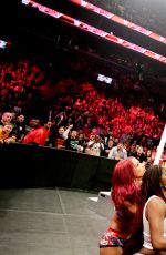 WWE - Raw Digitals 12/28/2015
