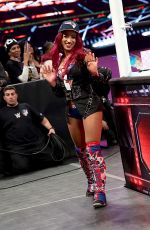 WWE - Raw Digitals 12/28/2015
