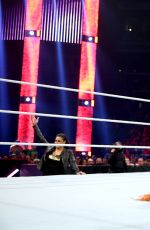 WWE - Raw Digitals 12/28/2015