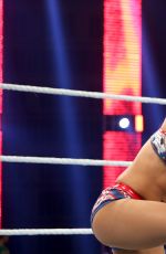 WWE - Raw Digitals 12/28/2015