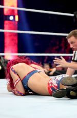 WWE - Raw Digitals 12/28/2015
