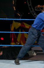 WWE - Superstars and Divas as Referees