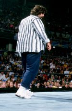 WWE - Superstars and Divas as Referees