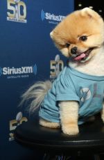 ADRIANA LIMA at SiriusXM Set at Super Bowl 50 Radio Row in San Francisco 02/05/2016