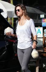 ALESSANDRA AMBROSIO Headong to Yoga Class in Santa Monica 02/05/2016