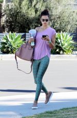 ALESSANDRA AMBROSIO Out in Brentwood 02/09/2016
