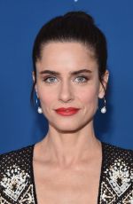 AMANDA PEET at 68th Annual Directors Guild of America Awards in Los Angeles 02/06/2016