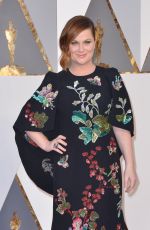 AMY POEHLER at 88th Annual Academy Awards in Hollywood 02/28/2016