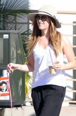 ASHLEY TISDALE Out with Her Dog in Toluca Lake 02/07/2016