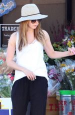 ASHLEY TISDALE Out with Her Dog in Toluca Lake 02/07/2016