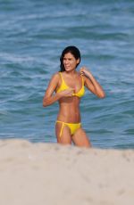 BARBARA NOGUEIRA in Bikini at a Beach in Miami 02/04/2016