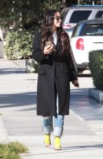 CARA SANTANA Out and About in Los Angeles 02/02/2016