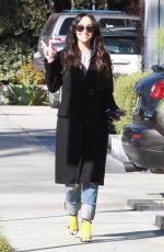 CARA SANTANA Out and About in Los Angeles 02/02/2016