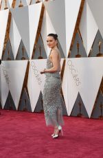 DAISY RIDLEY at 88th Annual Academy Awards in Hollywood 02/28/2016