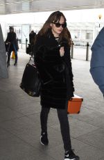 DAKOTA JOHNSON at Heathrow Airport in London 02/15/2016