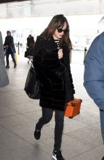 DAKOTA JOHNSON at Heathrow Airport in London 02/15/2016