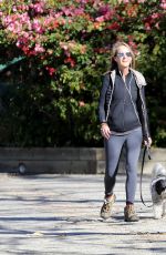 HELEN HUNT Walks Her Dog Out in Los Angeles 02/15/2016