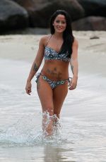JANELLE EVANS in Bikini at a Beach in Miami 02/09/2016