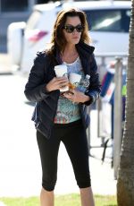 JANICE DICKINSON in Leggings Out in West Hollywood 02/10/2016