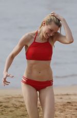 JESSICA STAM in Bikini at a Beach in Maui 01/29/2016