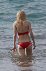 JESSICA STAM in Bikini at a Beach in Maui 01/29/2016