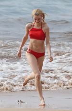 JESSICA STAM in Bikini at a Beach in Maui 01/29/2016