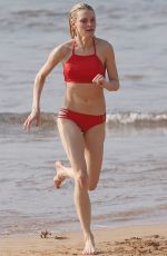JESSICA STAM in Bikini at a Beach in Maui 01/29/2016
