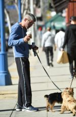 LADY VICTORIA HERVEY Walks Her Dog Out in Los Angeles 02/05/2016