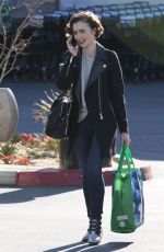 LILY COLLINS Shopping at Pavilions Supermarket in Los Angeles 02/04/2016