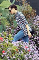 LILY COLLINS Shopping at Whole Foods in Los Angeles 02/13/2016