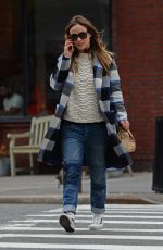 OLIVIA WILDE Chatting on Her Phone in West Village 02/17/2016