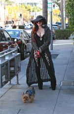 PHOEBE PRICE Walks Her Dog Out in Beverly Hills 02/02/2016