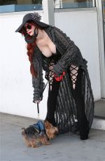 PHOEBE PRICE Walks Her Dog Out in Beverly Hills 02/02/2016