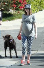 Pregnant ANNE HATHAWAY Walks Her Dog Out in Los Angeles 02/14/2016
