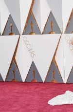 PRIYANKA CHOPRA at 88th Annual Academy Awards in Hollywood 02/28/2016