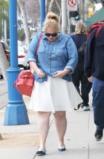 REBEL WILSON and Matt Lucas Out in West Hollywood 01/30/2016