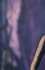 TAYLOR SWIFT Performs at 2016 Grammy Awards in Los Angeles 02/15/2016