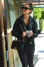 VANESSA MINNILLO Out and About in West Hollywood 02/04/2016