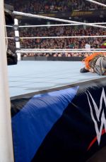 WWE - Fastlane 2016 Digitals