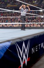 WWE - Fastlane 2016 Digitals