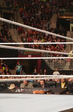 WWE - Fastlane 2016 Digitals