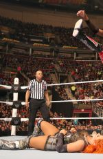 WWE - Fastlane 2016 Digitals