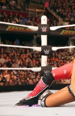 WWE - Fastlane 2016 Digitals