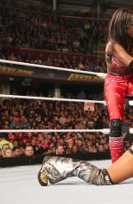 WWE - Fastlane 2016 Digitals