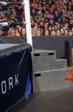 WWE - Fastlane 2016 Digitals