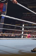 WWE - Fastlane 2016 Digitals