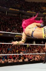 WWE - Fastlane 2016 Digitals