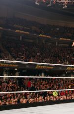 WWE - Fastlane 2016 Digitals